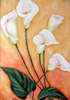 /album/a2010-2011/a24-large-jpg/